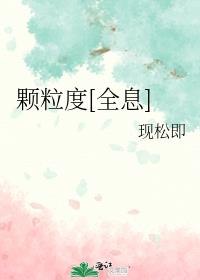 颗粒度[全息]